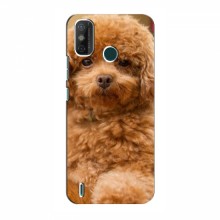 Чехлы с собаками для TECNO Spark GO (2021) (VPrint) кудрявый Щенок Бишон - купить на Floy.com.ua
