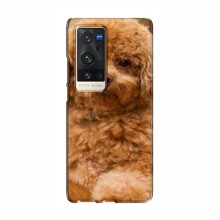 Чехлы с собаками для ViVO X60 Pro Plus (VPrint) кудрявый Щенок Бишон - купить на Floy.com.ua