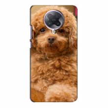 Чехлы с собаками для Xiaomi Poco F2 Pro (VPrint) кудрявый Щенок Бишон - купить на Floy.com.ua