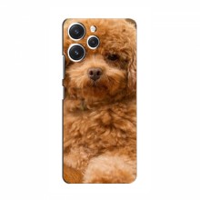 Чехлы с собаками для Xiaomi POCO М6 Pro (5G) (VPrint) кудрявый Щенок Бишон - купить на Floy.com.ua