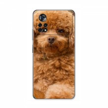 Чехлы с собаками для Xiaomi POCO X4 Pro 5G (VPrint) кудрявый Щенок Бишон - купить на Floy.com.ua