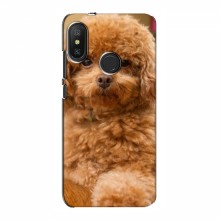 Чехлы с собаками для Xiaomi Redmi 6 Pro (VPrint) кудрявый Щенок Бишон - купить на Floy.com.ua