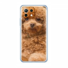 Чехлы с собаками для Xiaomi 11 Lite 5G (VPrint) кудрявый Щенок Бишон - купить на Floy.com.ua