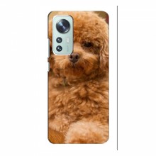 Чехлы с собаками для Xiaomi 12 / 12X (VPrint) кудрявый Щенок Бишон - купить на Floy.com.ua