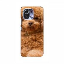 Чехлы с собаками для Xiaomi 13 Pro (VPrint) кудрявый Щенок Бишон - купить на Floy.com.ua
