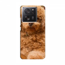 Чехлы с собаками для Xiaomi 13T (VPrint)