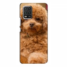 Чехлы с собаками для Xiaomi Mi 10 Lite (VPrint) кудрявый Щенок Бишон - купить на Floy.com.ua