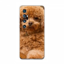 Чехлы с собаками для Xiaomi Mi 10 Ultra (VPrint) кудрявый Щенок Бишон - купить на Floy.com.ua