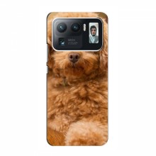 Чехлы с собаками для Xiaomi Mi 11 Ultra (VPrint) кудрявый Щенок Бишон - купить на Floy.com.ua