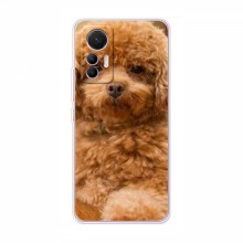 Чехлы с собаками для Xiaomi 12 Lite (VPrint)