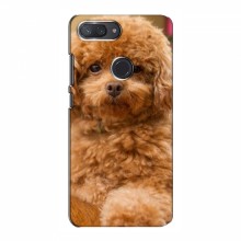 Чехлы с собаками для Xiaomi Mi8 Lite (VPrint) кудрявый Щенок Бишон - купить на Floy.com.ua