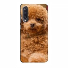 Чехлы с собаками для Xiaomi Mi 9 SE (VPrint) кудрявый Щенок Бишон - купить на Floy.com.ua