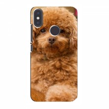 Чехлы с собаками для Xiaomi Mi A2 (VPrint) кудрявый Щенок Бишон - купить на Floy.com.ua