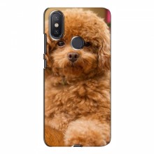 Чехлы с собаками для Xiaomi Mi A2 Lite (VPrint) кудрявый Щенок Бишон - купить на Floy.com.ua