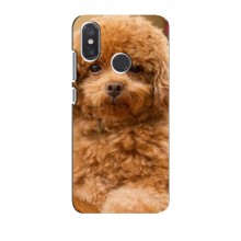 Чехлы с собаками для Xiaomi Mi8 (VPrint) кудрявый Щенок Бишон - купить на Floy.com.ua
