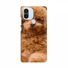 Чехлы с собаками для Xiaomi POCO C50 (VPrint) кудрявый Щенок Бишон - купить на Floy.com.ua