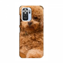 Чехлы с собаками для Xiaomi POCO F3 (VPrint)
