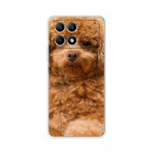 Чехлы с собаками для Xiaomi POCO F6 Pro (VPrint) кудрявый Щенок Бишон - купить на Floy.com.ua