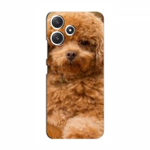 Чехлы с собаками для Xiaomi POCO M6 (VPrint)