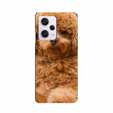 Чехлы с собаками для Xiaomi POCO X5 Pro (5G) (VPrint) кудрявый Щенок Бишон - купить на Floy.com.ua