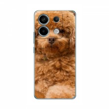 Чехлы с собаками для Xiaomi POCO X6 5G (VPrint) кудрявый Щенок Бишон - купить на Floy.com.ua