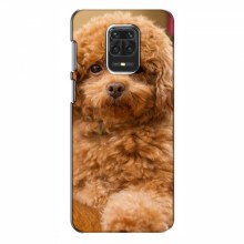 Чехлы с собаками для Xiaomi Redmi 10X (VPrint) кудрявый Щенок Бишон - купить на Floy.com.ua