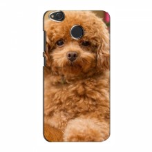 Чехлы с собаками для Xiaomi Redmi 4X (VPrint) кудрявый Щенок Бишон - купить на Floy.com.ua