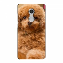 Чехлы с собаками для Xiaomi Redmi 5 (VPrint) кудрявый Щенок Бишон - купить на Floy.com.ua