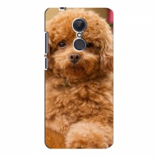Чехлы с собаками для Xiaomi Redmi 5 Plus (VPrint) кудрявый Щенок Бишон - купить на Floy.com.ua