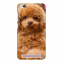 Чехлы с собаками для Xiaomi Redmi 5A (VPrint) кудрявый Щенок Бишон - купить на Floy.com.ua