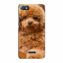 Чехлы с собаками для Xiaomi Redmi 6A (VPrint) кудрявый Щенок Бишон - купить на Floy.com.ua