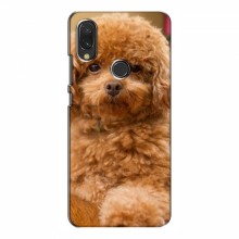 Чехлы с собаками для Xiaomi Redmi 7 (VPrint) кудрявый Щенок Бишон - купить на Floy.com.ua