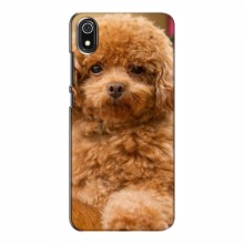 Чехлы с собаками для Xiaomi Redmi 7A (VPrint) кудрявый Щенок Бишон - купить на Floy.com.ua