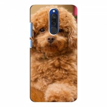 Чехлы с собаками для Xiaomi Redmi 8 (VPrint) кудрявый Щенок Бишон - купить на Floy.com.ua