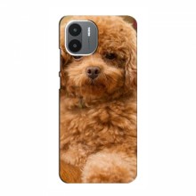 Чехлы с собаками для Xiaomi Redmi A2 (VPrint) кудрявый Щенок Бишон - купить на Floy.com.ua