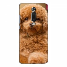 Чехлы с собаками для Xiaomi Mi 9T Pro (VPrint) кудрявый Щенок Бишон - купить на Floy.com.ua