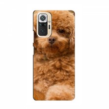 Чехлы с собаками для Xiaomi Redmi Note 10 (VPrint) кудрявый Щенок Бишон - купить на Floy.com.ua