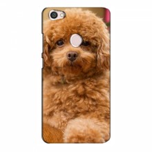 Чехлы с собаками для Xiaomi Redmi Note 5A Prime / 5A Pro (VPrint) кудрявый Щенок Бишон - купить на Floy.com.ua