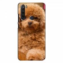 Чехлы с собаками для Xiaomi Redmi Note 8 (VPrint) кудрявый Щенок Бишон - купить на Floy.com.ua