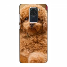 Чехлы с собаками для Xiaomi Redmi Note 9 (VPrint) кудрявый Щенок Бишон - купить на Floy.com.ua