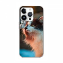 Чехол на iPhone 16 Pro Max с Котами (VPrint) Котик с бабочкой - купить на Floy.com.ua