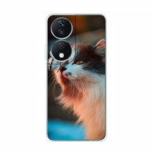 Чехол на Huawei Honor X7b с Котами (VPrint) Котик с бабочкой - купить на Floy.com.ua