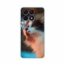 Чехол на Huawei Honor X8a с Котами (VPrint) Котик с бабочкой - купить на Floy.com.ua