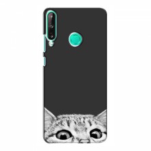 Чехол на Huawei P40 Lite e с Котами (VPrint) Выглядывает кот снизу - купить на Floy.com.ua