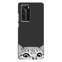 Чехол на Huawei P40 Pro с Котами (VPrint) Выглядывает кот снизу - купить на Floy.com.ua