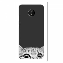 Чехол на Nokia C20 с Котами (VPrint) Выглядывает кот снизу - купить на Floy.com.ua