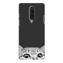 Чехол на OnePlus 8 с Котами (VPrint) Выглядывает кот снизу - купить на Floy.com.ua