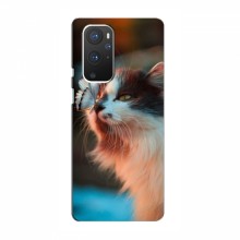Чехол на OnePlus 9 с Котами (VPrint) Котик с бабочкой - купить на Floy.com.ua