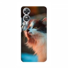 Чехол на OPPO A17k с Котами (VPrint) Котик с бабочкой - купить на Floy.com.ua