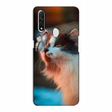 Чехол на OPPO A31 с Котами (VPrint) Котик с бабочкой - купить на Floy.com.ua